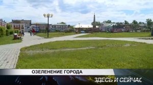 ОЗЕЛЕНЕНИЕ ГОРОДА