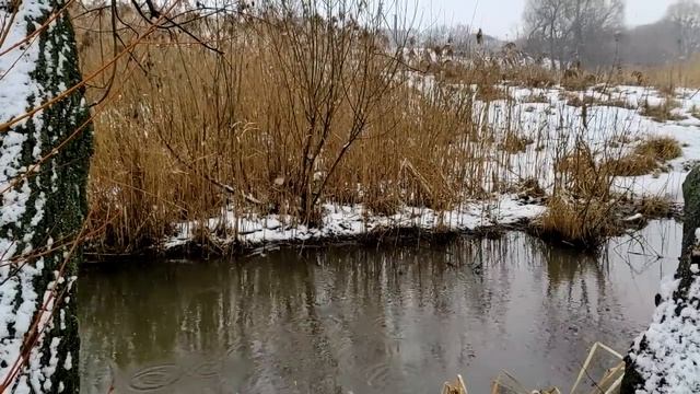 Если с ней сложно в отношениях, значит она стоит того. смотреть онлайн