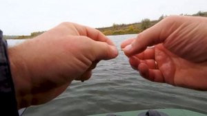 Отборная плотва на зимнюю удочку с лодки