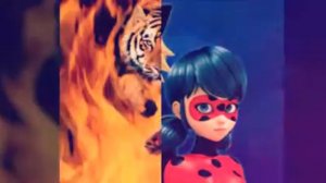 Клип ,,мы для любви нашли приют"