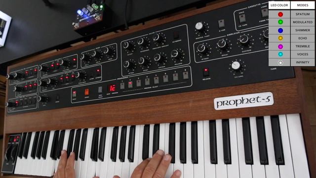 Is this the best reverb pedal? GFI specular reverb v3 with Sequential Circuits Prophet 5 смотреть онлайн