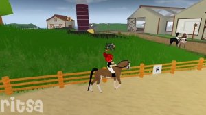 VLOG неделя конной жизни ?? Вторник-среда/Wild horse Island ?