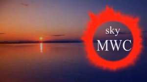 skyMWC: Mortiflux Imperfection