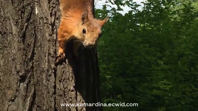 Kamardina_art международная выставка " Керамика и стекло в пейзаже"