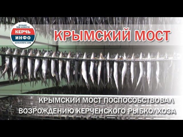 Крымский мост поспособствовал возрождению керченского рыбколхоза смотреть онлайн