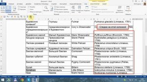 Word для новичков - 25 Создание и использование макросов