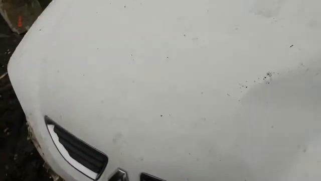 Авто на разборке рено меган