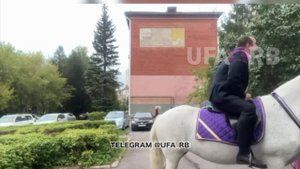 В Уфе мужчина оседлал белого коня, чтобы сделать предложение своей любимой