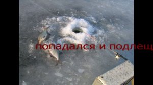 рыбалка на волге зимой