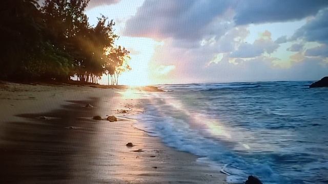 Проектируйте свою карьеру! #карьера#психология#подсознание#работа смотреть онлайн