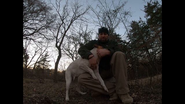 Herbs, Wild Onion and Mallet Finger смотреть онлайн