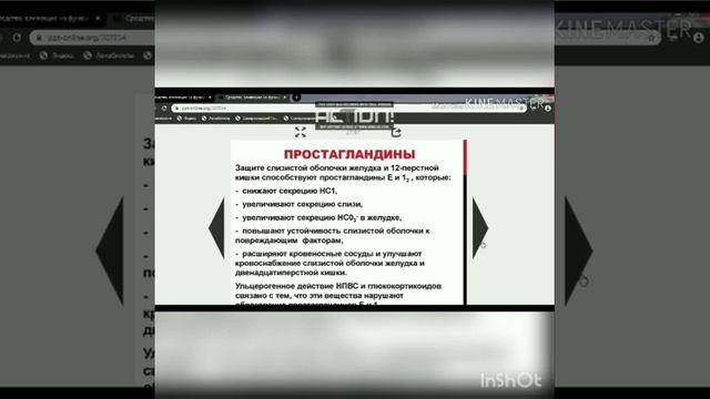 Средства влияющие на функции органов пищеварения