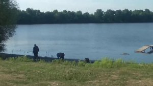 БЕЛГОРОДСКАЯ ОБЛАСТЬ,рыбалка на платнике Завидовка(с.Подымовка) , открытие сезона 14,08,2021