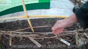 Виноградарство.Подвязка и обработка винограда весной.Чем обработать виноград весной .Сроки обработк