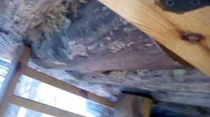 Черкесовская заимка