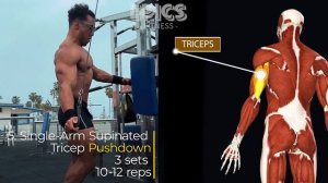 Grow your BICEPS & TRICEPS to 21 inch ARM (8 Best Exercises)