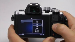 pcpanik-Foto : OM-D E-M10 Mark II - Basistutorial Teil 1