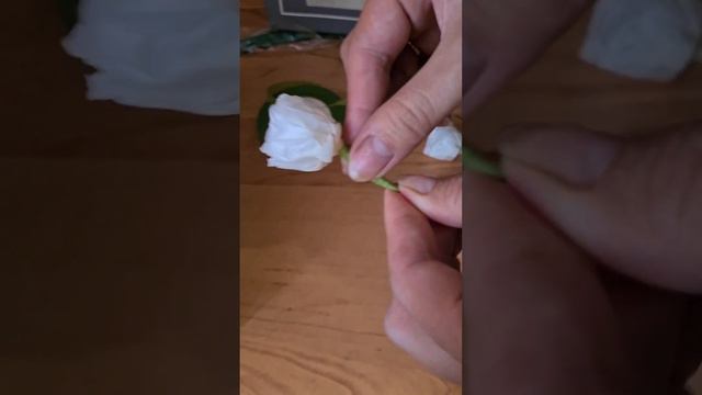 Простой способ сделать стебель для стабилизированной розы смотреть онлайн