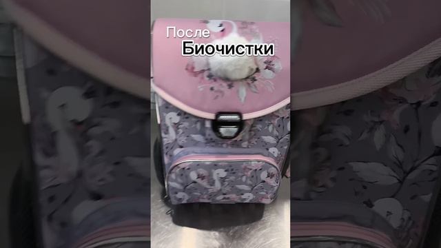 Спешите почистить: 1 сентября не за горами. #биочистка поможет