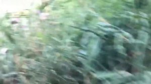 VLOG #9 Свердловск, Луганская область