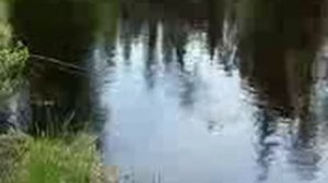 Ловля На Черта. Часть 1 [Ловля Рыбы На Чертика Видео]