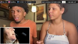 OUTSTANDING! | Janis Joplin - Ball & Chain - Monterey Pop REACTION!!