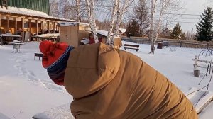 Пчёлы. Осмотр зимой. Гибель семьи. Зимовка пчёл.