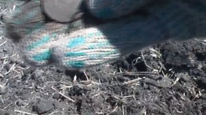 Не плохой поиск в полях с ГАРРЕТ АТ ПРО .