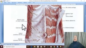 Anatomy GIT module in English 2021 ( External abdominal oblique muscle) ,by Dr.Wahdan