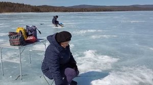 Приехали рыбачить на озеро Арей.