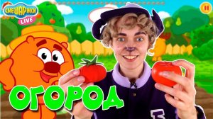 СМЕШАРИКИ И ОГОРОД - ИГРА ТРИ В РЯД! БАРАШ И КОПАТЫЧ ИГРАЮТ В ПРИЛОЖЕНИЕ! #2 13+