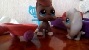 Мама купи мне собаку !!!!!!😭