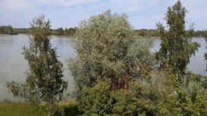 Катунь, село Верх-Обский. Родина Михаила Евдокимова. 11 июня 2022 года.