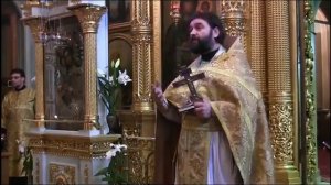 СИЛЬНАЯ проповедь Прот.Андрея Ткачёва !!!