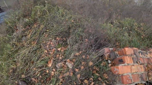 Руины психбольницы "ГОРКА". Большой Остров. Чита. 17.10.2020