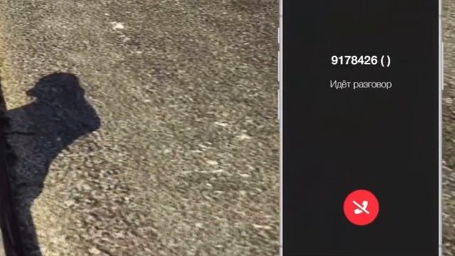 ДОСТАЮ ИГРОКОВ ЧЕРЕЗ СЕЛФИ КАМЕРУ НА БЛЭКБЕРРИ ГТА 5 РП  GTA 5 RP BLACKBERRY