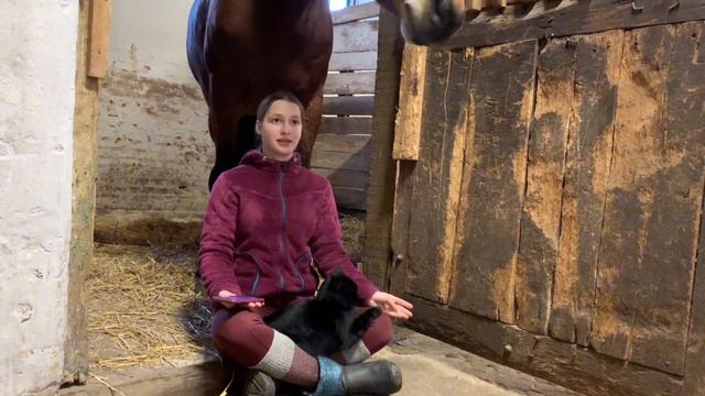 ВОПРОС-ОТВЕТ | ХШН, КОННЫЙ КОЛЛЕДЖ🐴