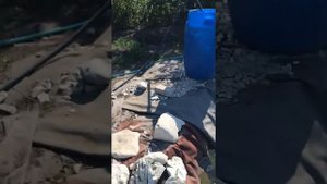 Как очистить пруд от зелени