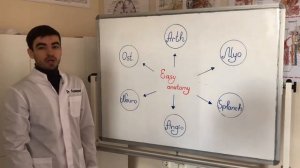 Проект «Easy Anatomy”