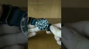 Ремешок ZULU(NATO) для своих "дайверов" #nato #zulu #casio #marlin #watchband