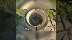 Рыба в тандыре)))карп