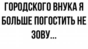 Городского внука я больше погостить не зову, да и он сам не хочет