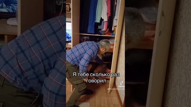 сила привычки
