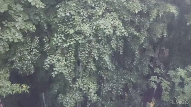 По прогнозу погоды ожидалась Маленькая тучка ?? смотреть онлайн