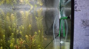 Проверяем тесты на железо (Fe)