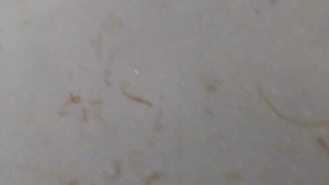 просвечивает стена на жидких обоях, второй слой жидких обоев