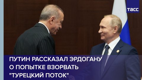Путин рассказал Эрдогану о попытке взорвать "Турецкий поток" #shorts