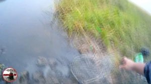 Летняя рыбалка на карася | Ловля на поплавок с берега