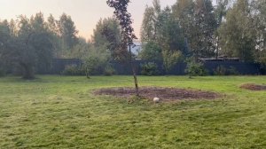 Стройка дома с нуля!