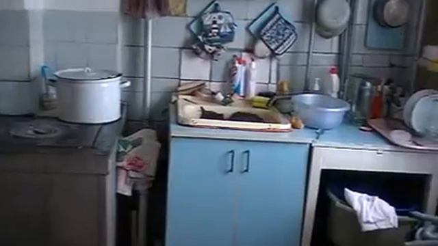 Aqua Cat смотреть онлайн